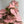 Syngonium Neon Pink 6