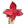 Aglaonema Suksom Jaipong 4