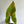Rare Cytrosperma Johnsoni 6
