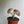 Mermaid Tail Cactus