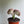 Mermaid Tail Cactus