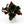 Croton ‘Thai Rose’
