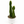 Euphorbia Candelabra