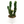 Montrose Apple Cactus