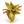Aglaonema 'Golden Papaya'