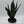 Sansevieria 'Fabi'