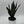 Sansevieria 'Fabi'
