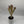 Euphorbia Dragon Bone