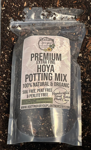 hoya kerrii potting mix Runo Plants | Pet Friendly Plants