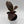 Ficus Elastica Ruby