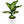 Large Dieffenbachia ‘Puerto Rico’