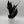 Sansevieria 'Black Dragon'