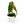 Philodendron ‘Splendid’