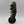 Spiralis Spiral Cactus
