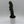 Spiralis Spiral Cactus