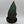 Sansevieria Masoniana (Whale Fin)
