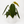 Philodendron Gigas