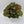 Syngonium Podophyllum 'Maria Allusion'
