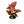 Syngonium ‘Orm Nak Red’