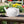 HydraMate Modern Watering Can for Houseplants