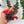 Twisted Lipstick (Aeschynanthus Rasta)