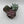 Succulent & Cactus Mystery Bundle Box - 3 Plants