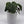 Philodendron Majestic