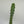 Boobie Cactus