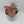 Syngonium Neon Pink