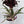 Low Light Combination Planter - Cordyline, Dracaena & Tradescantia