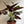 Syngonium Red Arrow