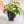Ceramic Plant Pot with Rubber Liner - Forest Green