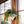 Rosie: UFO Hanging Plant Pot