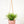 Virago Modern Hanging Planter- Grid