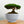 Bonsai Pot with Drainage & Tray