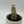 Euphorbia Monadenium Ritchiei