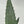 Aloe Ferox