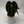 Anthurium King of Clarinervicum