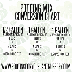 Piper Crocatum Premium Potting Mix