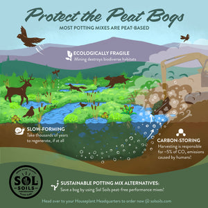 Succulent Gritty Mix