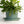 Geometric Oval Handmade Porcelain Planter