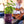 Ceramic Plant Pot with Rubber Liner - Violet Purple