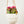 Virago Modern Hanging Planter- Grid