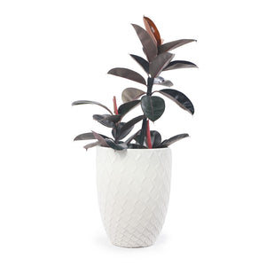 Handmade Ceramic Planter Pot - 17 Inch Diameter