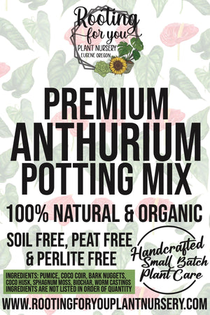 ANTHURIUM Premium Potting Mix