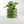 Bubble Planter/ Donut Planter with Drainage