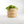 Bubble Planter/ Donut Planter with Drainage