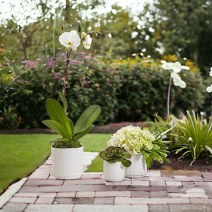 Ceramic Webbing Pattern Planters Embossed Cane Cement Pots Small Medium Large