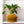 Galaxy Groove Plant Pot