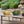 HydraMate Modern Watering Can for Houseplants